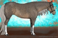 Horse Color:Silver Smoky Black 