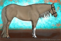 Horse Color:Liver Red Dun 