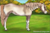 Horse Color:Liver Red Onyx Pearl Rabicano 