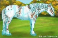 Horse Color:Thunderstruck White Spotted Silver Brown Blanket Rabicano 