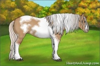 Horse Color:Silver Bay Dun Sabino Tobiano Frame Rabicano 