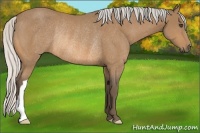 Horse Color:Silver Buckskin Rabicano 