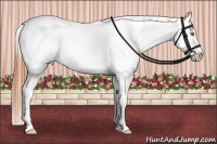 Horse Color:Amber Champagne Roan Blanket