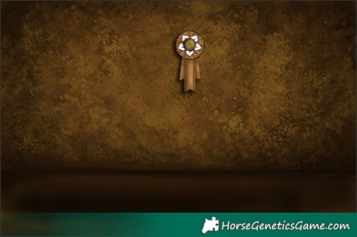 Horse Color:Black Sabino Tobiano 