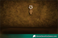 Horse Color:Black Sabino Tobiano 