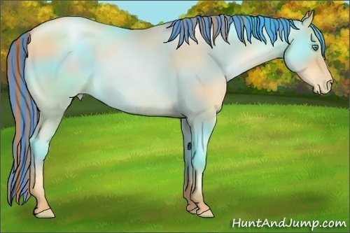 Horse Color:Painted Classic Champagne Pearl 