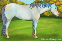 Horse Color:Painted Classic Champagne Pearl 