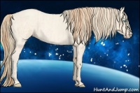 Horse Color:Buckskin Roan Pearl and Perlino Roan