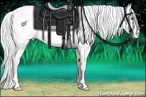 Horse Color:Silver Buckskin Chinchilla Roan Pearl Dun Appaloosa Rabicano 