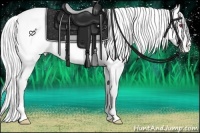 Horse Color:Silver Buckskin Chinchilla Roan Pearl Dun Appaloosa Rabicano 