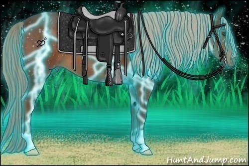 Horse Color:Thunderstruck Liver Chestnut 