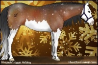 Horse Color:Brown Splash 