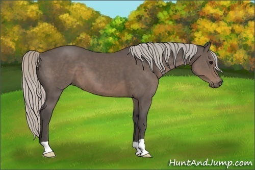 Horse Color:Silver Black 