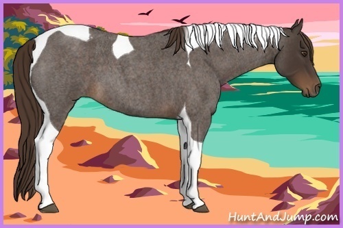 Horse Color:Liver Red Roan Tobiano