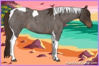 Horse Color:Liver Red Roan Tobiano 