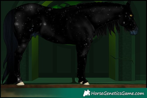 Horse Color:ERROR: UNKNOWN ANOMALY