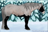Horse Color:Liver Chestnut Sabino Splash Varnish 
