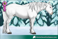 Horse Color:Chocolate Silver Brown Chinchilla Sabino Splash Snowflake Varnish