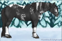 Horse Color:White Spotted Liver Chestnut Tobiano 