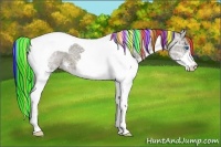 Horse Color:Painted Liver Chestnut Ice Splash Tobiano Appaloosa 
