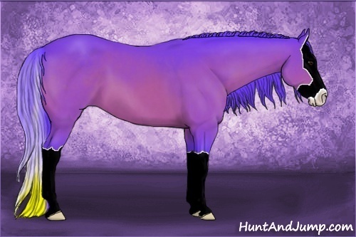 Horse Color:Watercolor Bay Splash