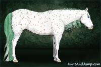 Horse Color:Watercolor Bay Splash Near Leopard 