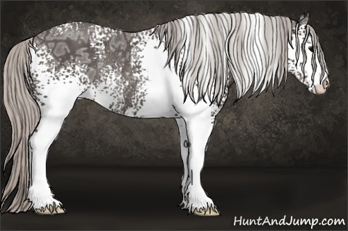 Horse Color:White Spotted Silver Black Ice Rabicano