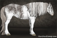 Horse Color:White Spotted Silver Black Ice Rabicano 