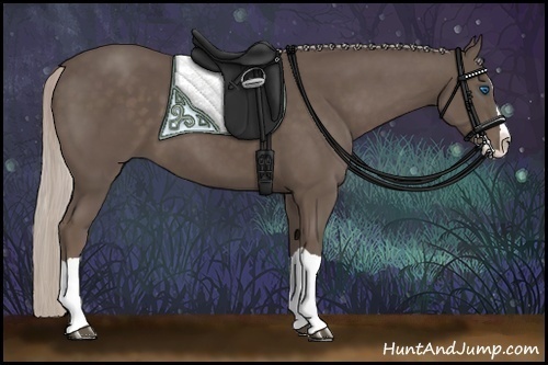 Horse Color:Silver Black Splash