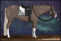 Horse Color:Silver Black Splash 
