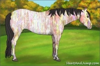 Horse Color:Bay Ice Roan Rabicano 