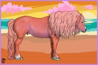 Horse Color:Watercolor Liver Chestnut Sabino Rabicano 