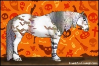 Horse Color:Nacre White Spotted Bay