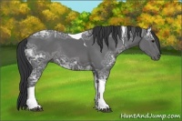 Horse Color:Black Ice Tobiano Rabicano