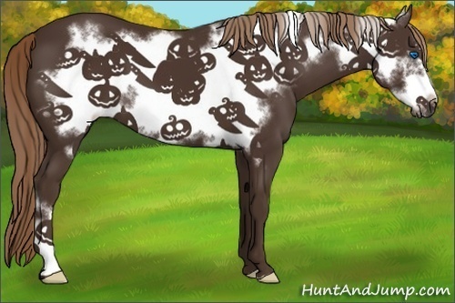 Horse Color:Liver Chestnut Frame 