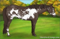 Horse Color:Liver Chestnut Frame