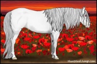 Horse Color:Smoky Blue Chinchilla Roan Pearl Rabicano