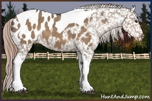 Horse Color:Liver Red Dun Sabino Tobiano Blanket Brindle 