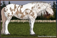 Horse Color:Liver Red Dun Sabino Tobiano Blanket Brindle 
