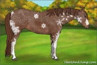 Horse Color:Chestnut Ice 