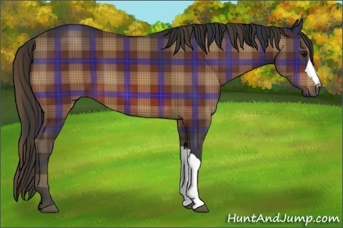 Horse Color:Plaid Bay