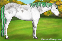 Horse Color:Gray Painted White Spotted Black 