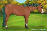 Horse Color:Painted Bay Splash