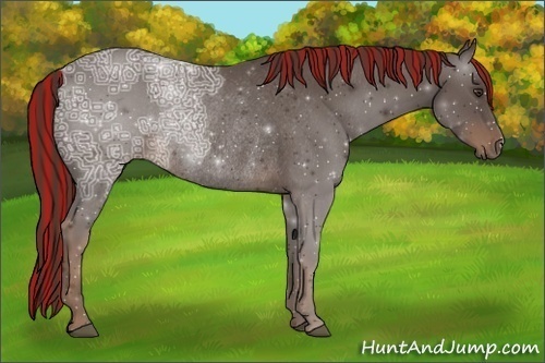 Horse Color:Painted Liver Chestnut Ice Rabicano 