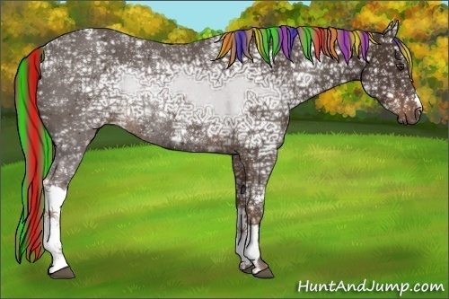 Horse Color:Painted Liver Chestnut Ice Rabicano
