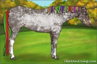 Horse Color:Painted Liver Chestnut Ice Rabicano