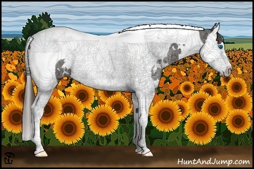 Horse Color:White Spotted Liver Chestnut Ice Splash Tobiano Rabicano