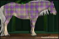 Horse Color:Plaid  Chocolate Palomino Sabino Rabicano 