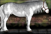 Horse Color:Silver Black Chinchilla Splash Rabicano