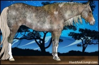 Horse Color:Watercolor Silver Bay Ice Onyx Rabicano 